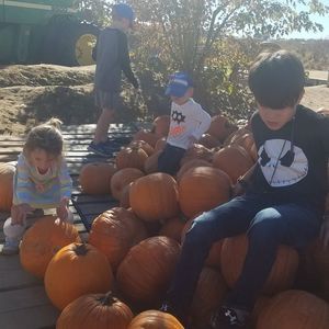 Meet your Posher, Monica